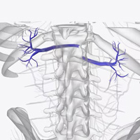 neurosurgeons in India