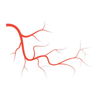 neurosurgeons in India