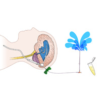 neurosurgeons in India