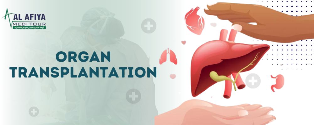 Organ Transplant in India at Affordable Cost