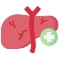 Hepatology